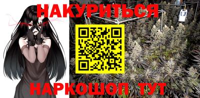 молекула духа Гатчина