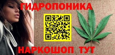 молекула духа Гатчина