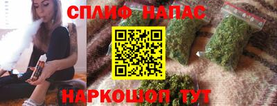 молекула духа Гатчина