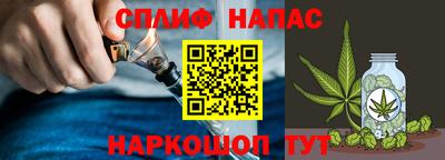 молекула духа Гатчина