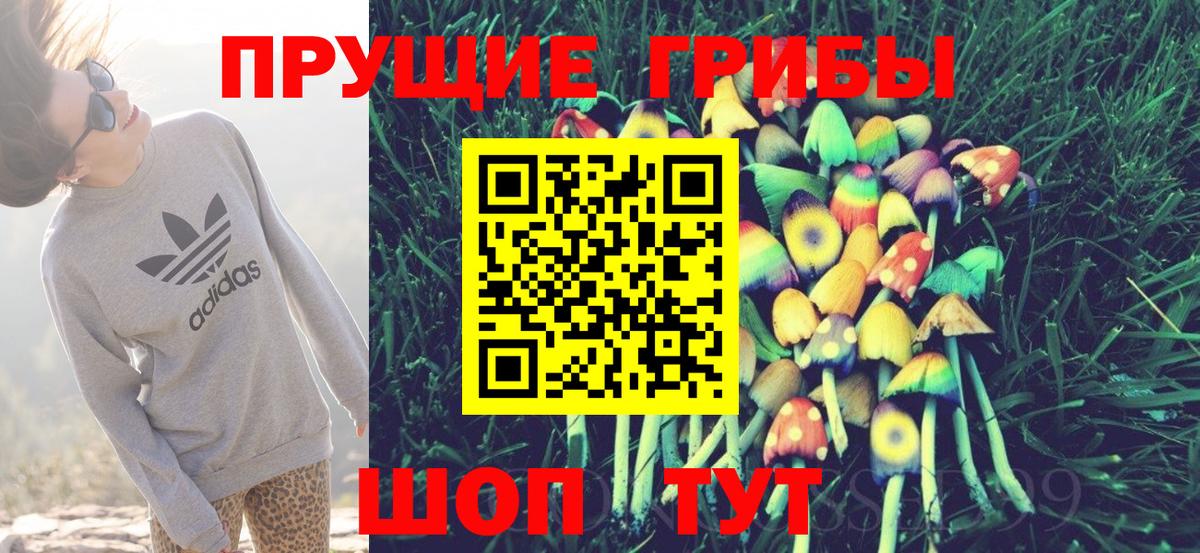 Ртищево  Псилоцибиновые грибы Psilocybe  Галлюциногенные грибы Psilocybe  Вход с VPN 
